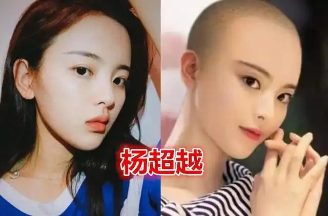 盘点12大明星的光头造型,童年男神居然是光头强本强
