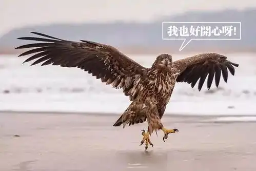 你愿意陪我一起加班吗不愿意
