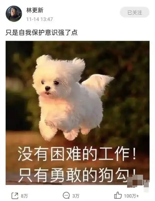 林更新不屑找公关,亲自下场手撕黑粉互骂到凌晨,成为明星反黑第一人
