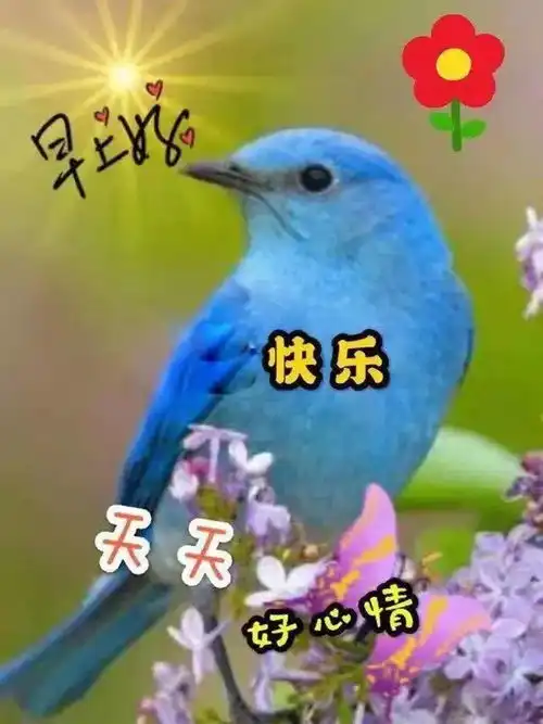 每天的祝福和问候是心灵的呼唤
