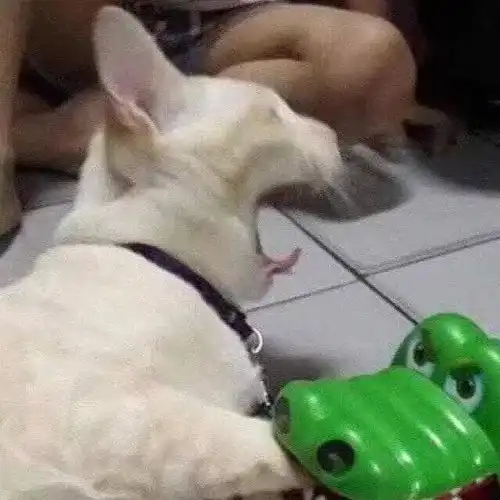 情头在情侣头像挑一对儿不
