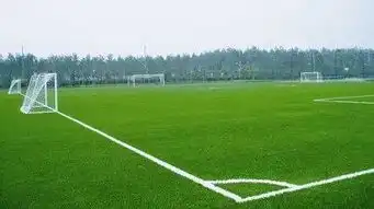 广西又要搞大项目啦这三个重点旅游项目值得期待
