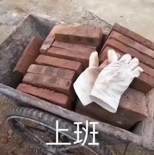 谁夺走了你的快乐欲望的谎言和消费骗局
