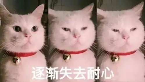 6号线瘫了重庆轨道又一次刷爆朋友圈
