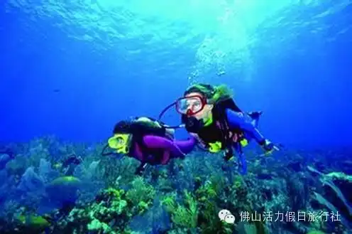 不好玩,算我输奇趣岘港住最豪华,一线海景皇冠假日酒店,重本含迦蓝岛簸箕船,送魅力岘港秀,越式餐滴滴咖啡,超值五天搜狐旅游搜狐网
