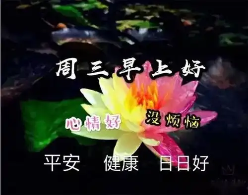 朋友们早上好,这个夏天最好看的早安祝福语图片大全
