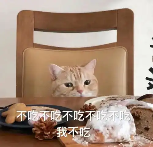 热门表情包图片搞笑快乐

