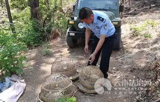 图片新闻
