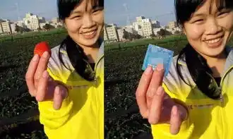 盘点那些被ps大神恶搞的照片,差点忍不住笑出猪叫声
