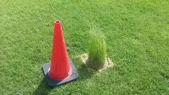 我真的不是来搞笑的
