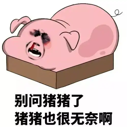 夫妻双方吵架一气之下竟然让猪背了锅
