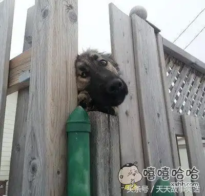 笑话段子和女朋友分手好久了,一天晚上,突然手机震动了
