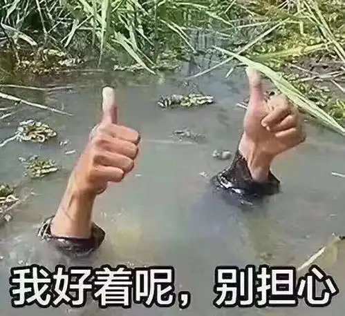 能把人逗笑的沙雕句子
