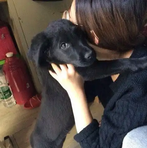 搞笑段子趣味图片兄弟你也是个人才啊,用这个办法来看节目
