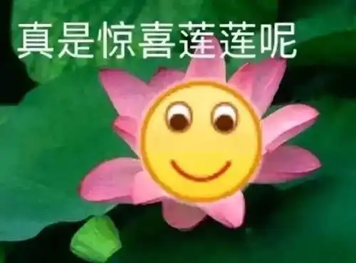 每个不分场合阴阳怪气的人,心里都写着一个怂字
