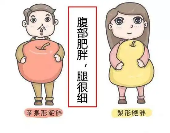 大白话说中医第五十八期简简单单七味药,健脾养胃好疗效
