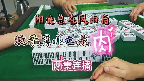 四川麻将阳光总在风雨后,蚊子再小也是肉
