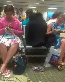 搞笑图片女神在外面和在家里的区别
