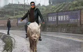 图片求大神p的欠抽一点,越搞笑越好

