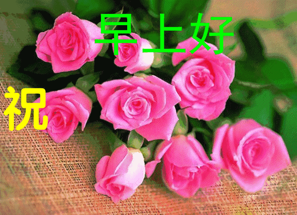 最美早上好动态图片带字最新早上好图片
