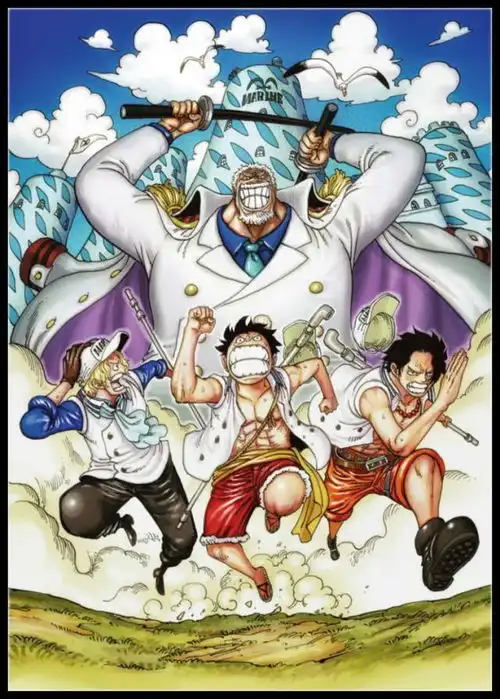 海贼王官方情报尾田公布乔巴罗宾的恶魔果实图像
