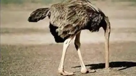 搞笑

