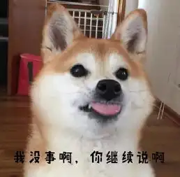 分享一波新的柴柴表情包,马起来发给沙雕朋友
