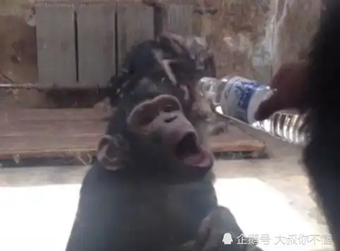 搞笑gif趣图女同事情商高,这样要账不伤感情
