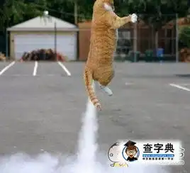我上天了,88搞笑图片
