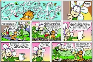 举行雏菊仪式看漫画学英语之加菲猫双语幽默漫画
