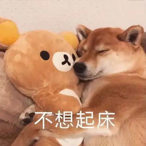 柴犬冬季打工人表情包合集不想起床,不想上班
