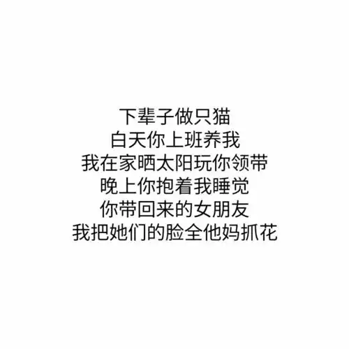 搞笑.可爱.文字.句子.愿喜
