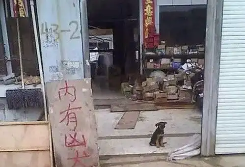 搞笑图片笑话段子你们这些高级白领,放屁都能放出小苹果的韵律
