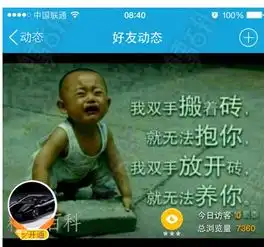我双手搬着砖,就无法抱你我放下了砖,却无法养你求这搞笑图片
