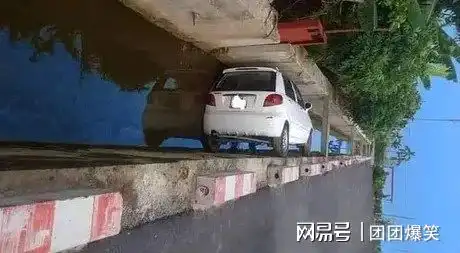 gif搞笑趣图西瓜中的战斗瓜
