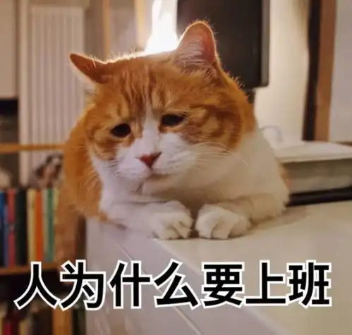 爆笑视频愚人节快到了,周六要上班肯定是一场骗局

