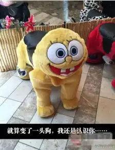 这周日你有空吗囧图难不成小姐姐是个美腿丝袜控

