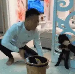 搞笑gif趣图有这样的闺蜜真好,不然就惨了
