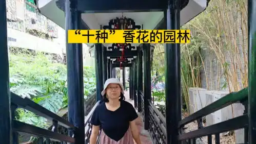 寻访张国荣在广州足迹1桥1乐园1水乡1体育中心2酒店,你都知

