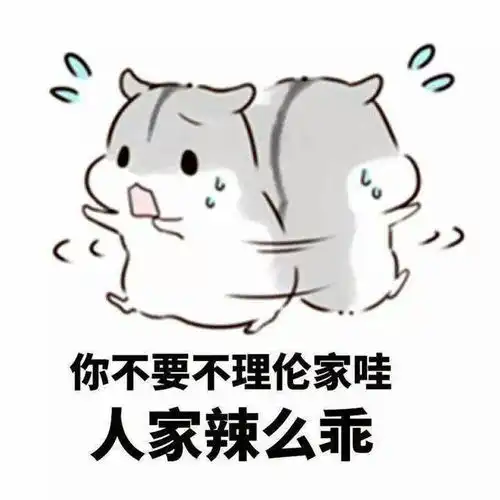 斗图丨仓鼠情侣表情包
