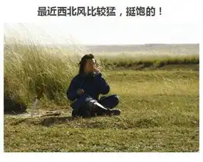 最新版本关于穷的暴走搞笑图片带字剁手节之后你有多穷
