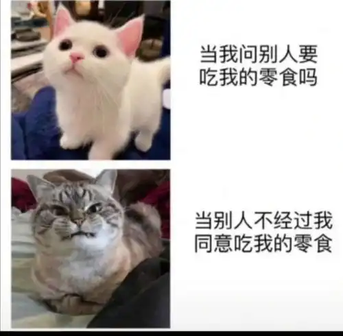 搞笑趣图,当代大学生真实情景,好家伙我直接一个好家伙
