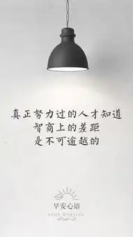 独特的销售主张
