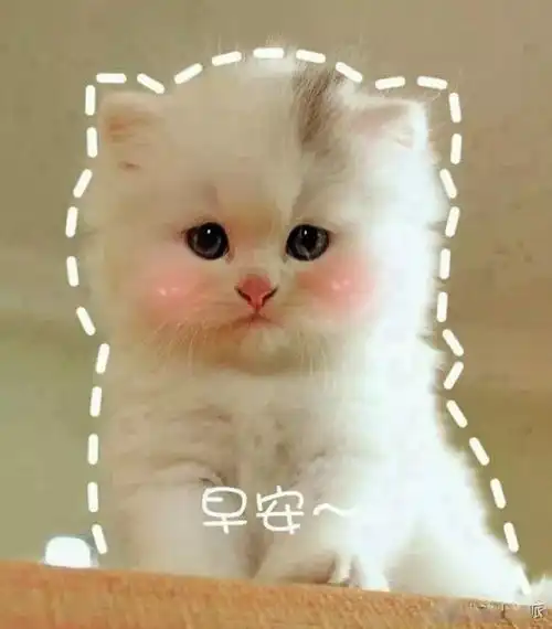 可爱萌宠萌娃头像

