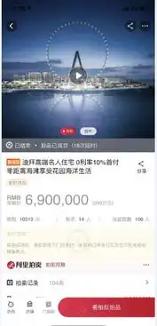 没有排上双11区域战绩top榜只因差了阿里拍卖的一套房
