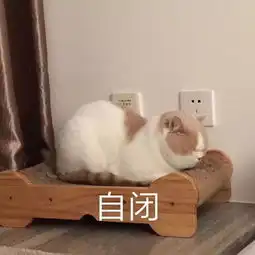 在三江的春抑里,我被这些话治愈了室友
