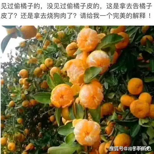 茅台酒厂怎么防止员工上班时偷喝神回复哈哈哈哈笑岔气
