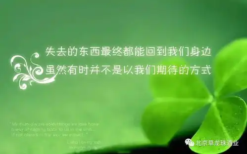 每日一笑

