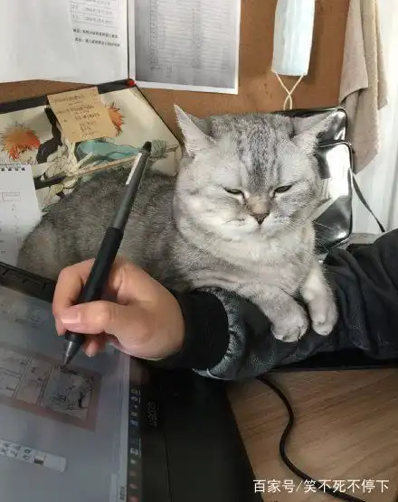 搞笑图片幽默段子笑话小朋友,你们这样提水灭火没效果吧
