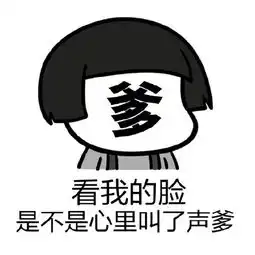 表情包看不见我的大脸
